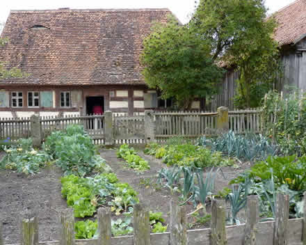 vegetable garden