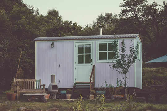 shed windows and doors